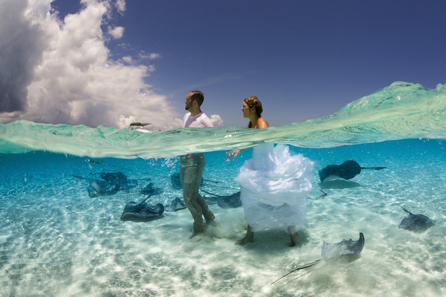Whilst shooting the majestic Southern Stingray in the crystal clear water of the Sandbar in Grand Cayman, I was stunned when this newly wed couple arrived, the bride was still in her wedding dress! This shot "Dressed for Adventure" for me captures the beginning of a new life together, one where a couple will brave the troubles of the world hand in hand. The couple march confidently towards the clouds in the frame ignoring the beasts at their feet, this is an adventure they will seek together